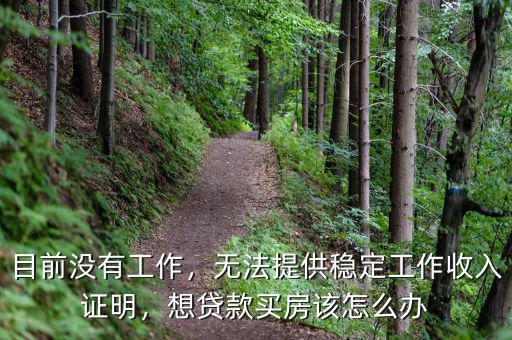 目前沒有工作，無法提供穩(wěn)定工作收入證明，想貸款買房該怎么辦