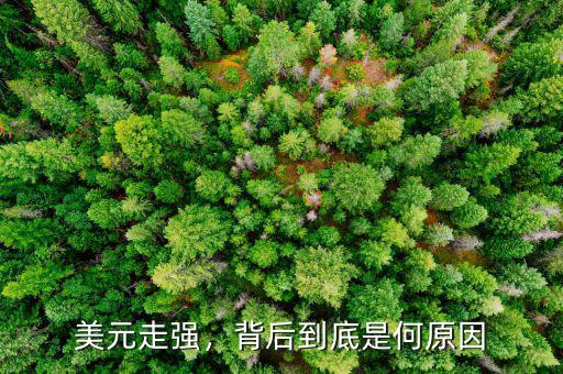 美元走強(qiáng)，背后到底是何原因