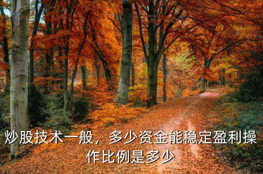 炒股技術一般，多少資金能穩(wěn)定盈利操作比例是多少