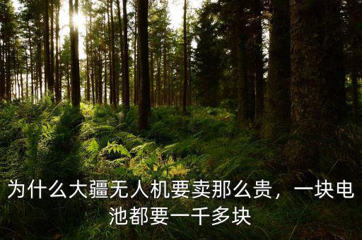 為什么大疆無人機(jī)要賣那么貴，一塊電池都要一千多塊