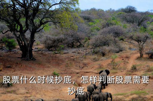 股票什么時候抄底，怎樣判斷股票需要抄底