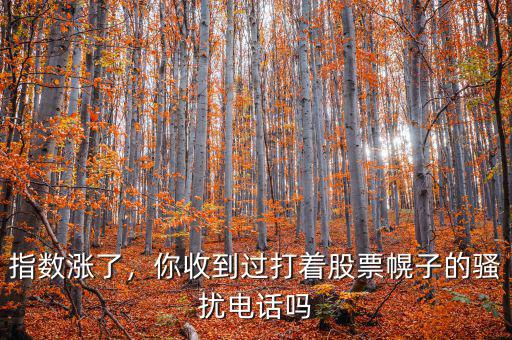 指數(shù)漲了，你收到過(guò)打著股票幌子的騷擾電話嗎