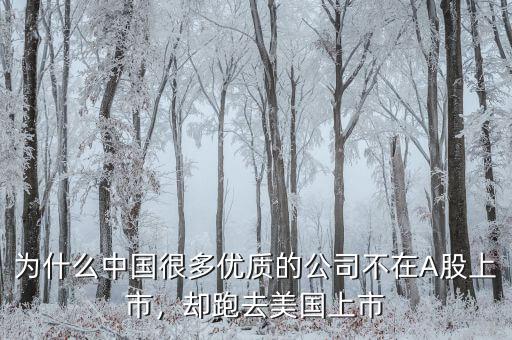 不盈利為什么能在美國上市,卻在美國上市。為什么