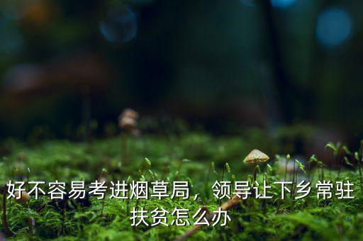 好不容易考進煙草局，領(lǐng)導(dǎo)讓下鄉(xiāng)常駐扶貧怎么辦