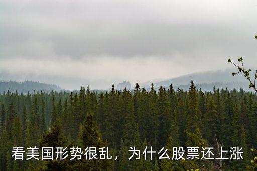 看美國形勢很亂，為什么股票還上漲