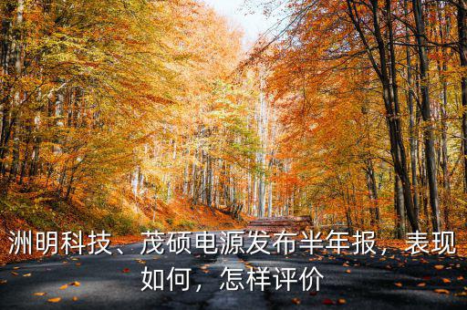 洲明科技、茂碩電源發(fā)布半年報，表現如何，怎樣評價