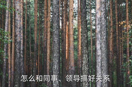 怎么和同事、領(lǐng)導(dǎo)搞好關(guān)系