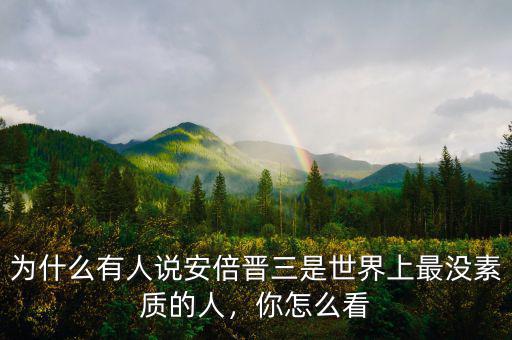 為什么有人說安倍晉三是世界上最沒素質(zhì)的人，你怎么看