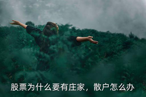 股票為什么要有莊家，散戶怎么辦