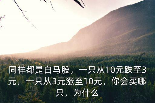 同樣都是白馬股，一只從10元跌至3元，一只從3元漲至10元，你會(huì)買哪只，為什么