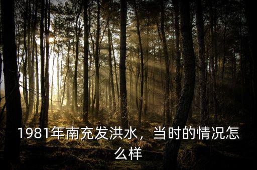 1981年南充發(fā)洪水，當(dāng)時的情況怎么樣