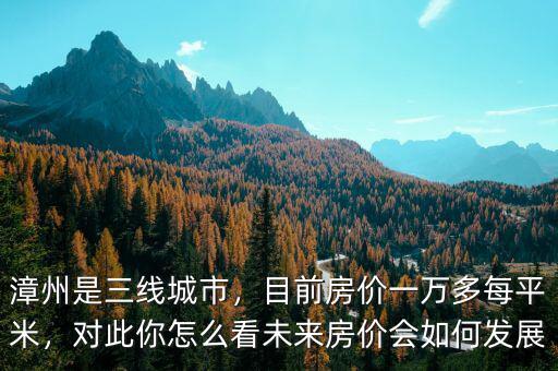 漳州是三線城市，目前房?jī)r(jià)一萬(wàn)多每平米，對(duì)此你怎么看未來(lái)房?jī)r(jià)會(huì)如何發(fā)展