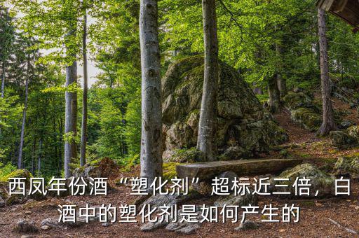 西鳳年份酒“塑化劑”超標(biāo)近三倍，白酒中的塑化劑是如何產(chǎn)生的