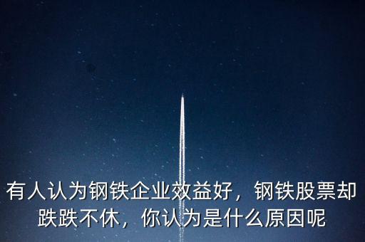 有人認(rèn)為鋼鐵企業(yè)效益好，鋼鐵股票卻跌跌不休，你認(rèn)為是什么原因呢