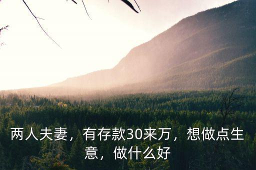 兩人夫妻，有存款30來萬，想做點生意，做什么好