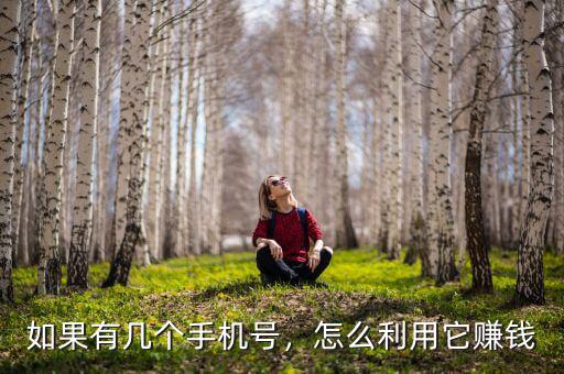 如果有幾個(gè)手機(jī)號(hào)，怎么利用它賺錢(qián)