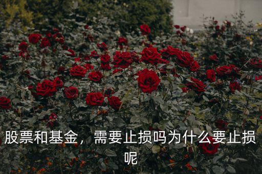 股票和基金，需要止損嗎為什么要止損呢