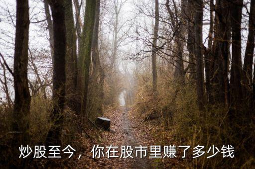 炒股至今，你在股市里賺了多少錢