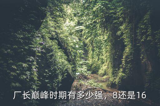 李河君巔峰時(shí)期有多少,廠(chǎng)長(zhǎng)巔峰時(shí)期有多少?gòu)?qiáng)