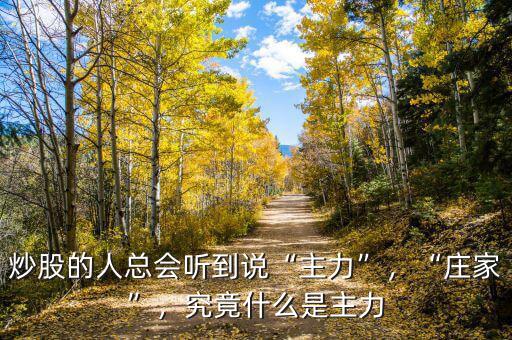 炒股的人總會(huì)聽到說“主力”，“莊家”，究竟什么是主力