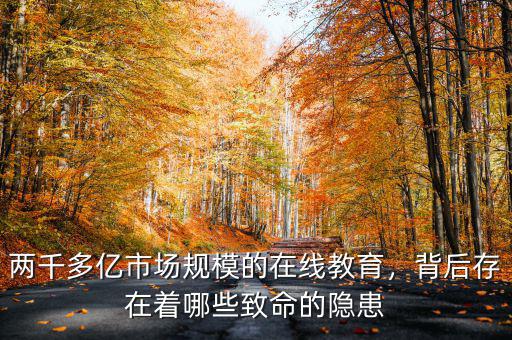 兩千多億市場規(guī)模的在線教育，背后存在著哪些致命的隱患
