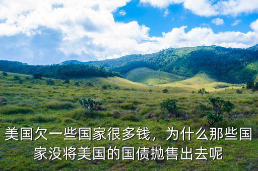 美國(guó)欠一些國(guó)家很多錢，為什么那些國(guó)家沒(méi)將美國(guó)的國(guó)債拋售出去呢