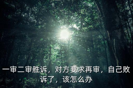 一審二審勝訴，對方要求再審，自己敗訴了，該怎么辦