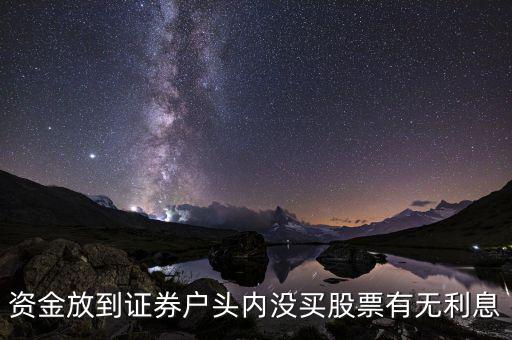 資金放到證券戶頭內(nèi)沒(méi)買股票有無(wú)利息