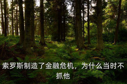 索羅斯制造了金融危機，為什么當時不抓他