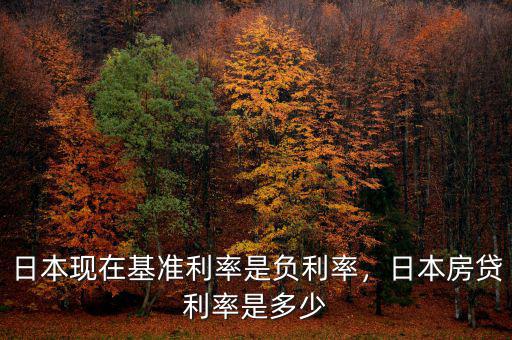 日本現(xiàn)在基準利率是負利率，日本房貸利率是多少