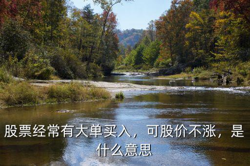 股票經(jīng)常有大單買(mǎi)入，可股價(jià)不漲，是什么意思