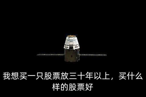 我想買(mǎi)一只股票放三十年以上，買(mǎi)什么樣的股票好