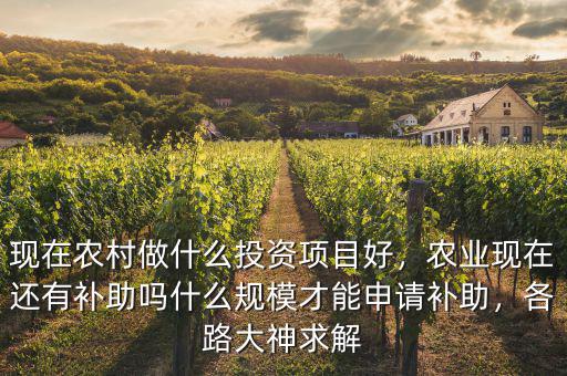現(xiàn)在農(nóng)村做什么投資項(xiàng)目好，農(nóng)業(yè)現(xiàn)在還有補(bǔ)助嗎什么規(guī)模才能申請(qǐng)補(bǔ)助，各路大神求解