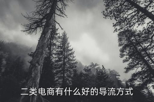 互聯網導流是什么意思,什么是互聯網創(chuàng)業(yè)