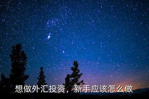 想做外匯投資，新手應(yīng)該怎么做
