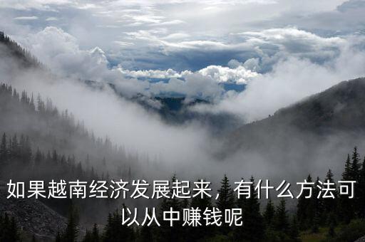 如果越南經(jīng)濟發(fā)展起來，有什么方法可以從中賺錢呢