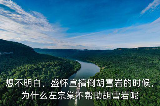 想不明白，盛懷宣搞倒胡雪巖的時候，為什么左宗棠不幫助胡雪巖呢