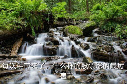 每次牛市來了，什么樣的股票漲的最厲害