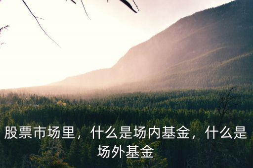 股票市場(chǎng)里，什么是場(chǎng)內(nèi)基金，什么是場(chǎng)外基金