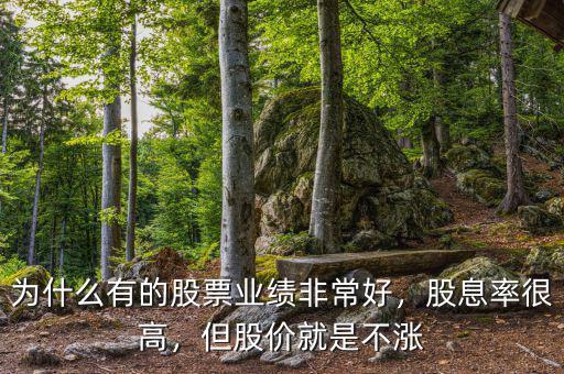為什么有的股票業(yè)績非常好，股息率很高，但股價(jià)就是不漲