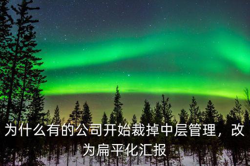 為什么有的公司開始裁掉中層管理，改為扁平化匯報