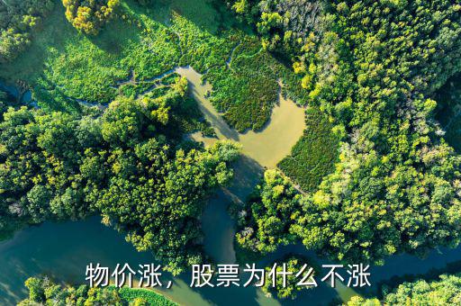 物價漲，股票為什么不漲
