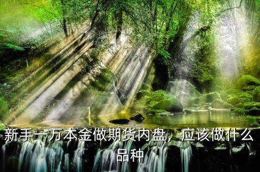 新手一萬本金做期貨內(nèi)盤，應該做什么品種