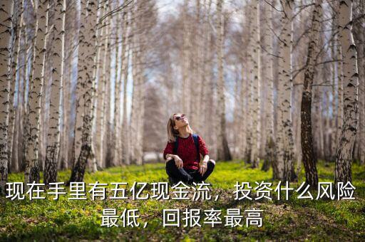 現(xiàn)在手里有五億現(xiàn)金流，投資什么風(fēng)險(xiǎn)最低，回報(bào)率最高