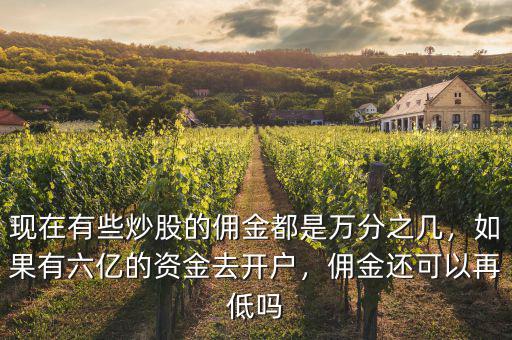 現(xiàn)在有些炒股的傭金都是萬(wàn)分之幾，如果有六億的資金去開(kāi)戶(hù)，傭金還可以再低嗎