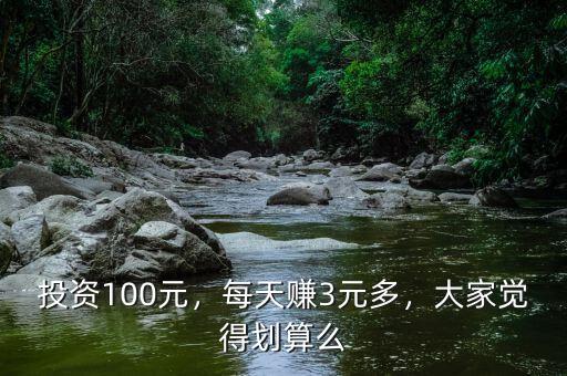 投資100元，每天賺3元多，大家覺得劃算么
