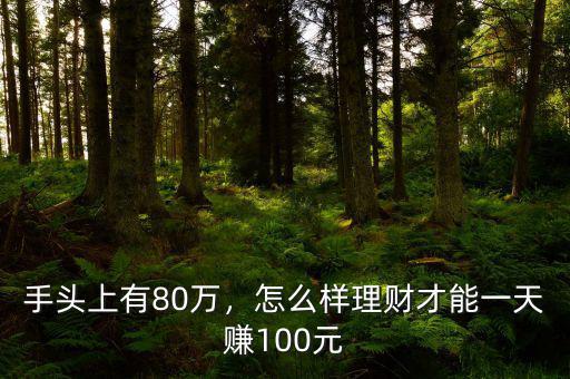 手頭上有80萬，怎么樣理財才能一天賺100元