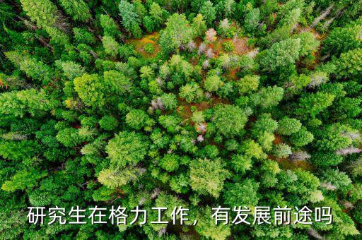研究生在格力工作，有發(fā)展前途嗎