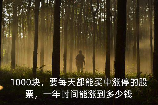 1000塊，要每天都能買中漲停的股票，一年時(shí)間能漲到多少錢