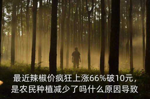 最近辣椒價(jià)瘋狂上漲66%破10元，是農(nóng)民種植減少了嗎什么原因?qū)е? class=